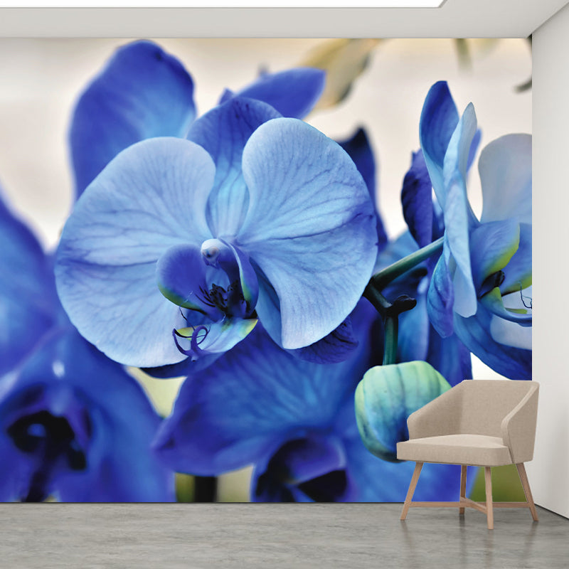 Beautiful Orchid Wall Murals for Home Decoration Stain Resistant, Personalised Size