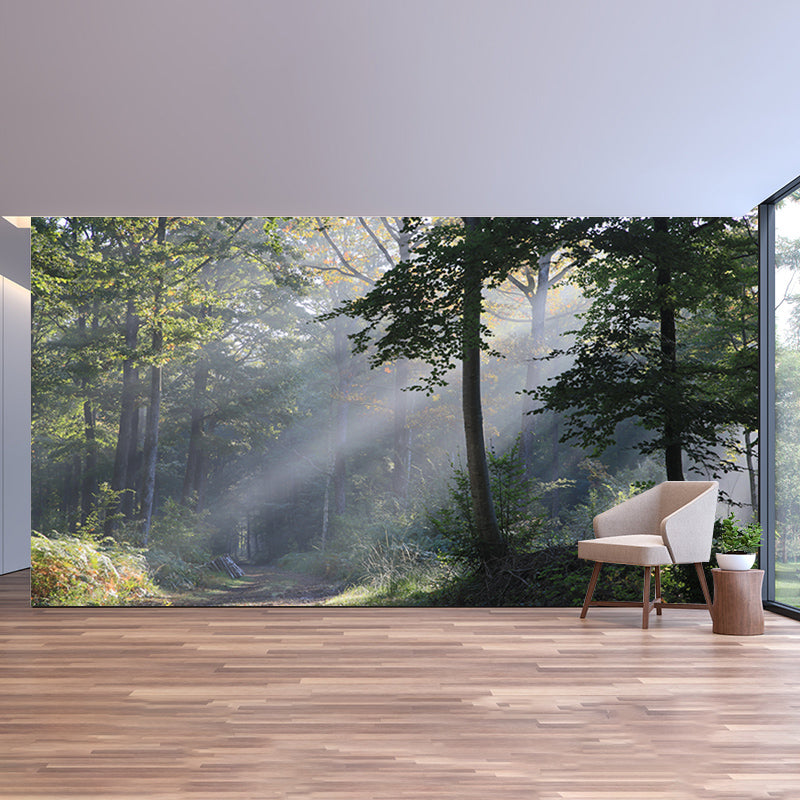 Full Size Water Resistant Forest Mural Wallpaper Modern Wall Decor, Made to Measure