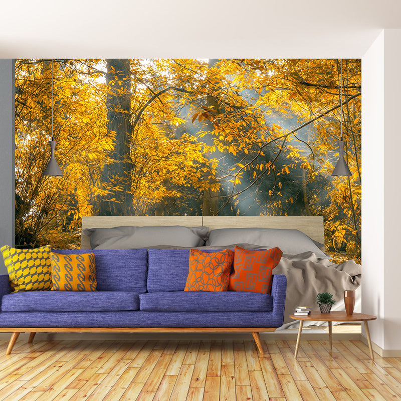 Forest Mural Wallpaper for Sitting Room Moisture Resistant, Personalized Size Available
