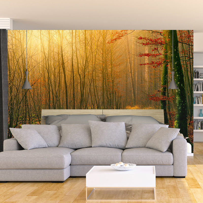 Forest Mural Wallpaper for Sitting Room Moisture Resistant, Personalized Size Available