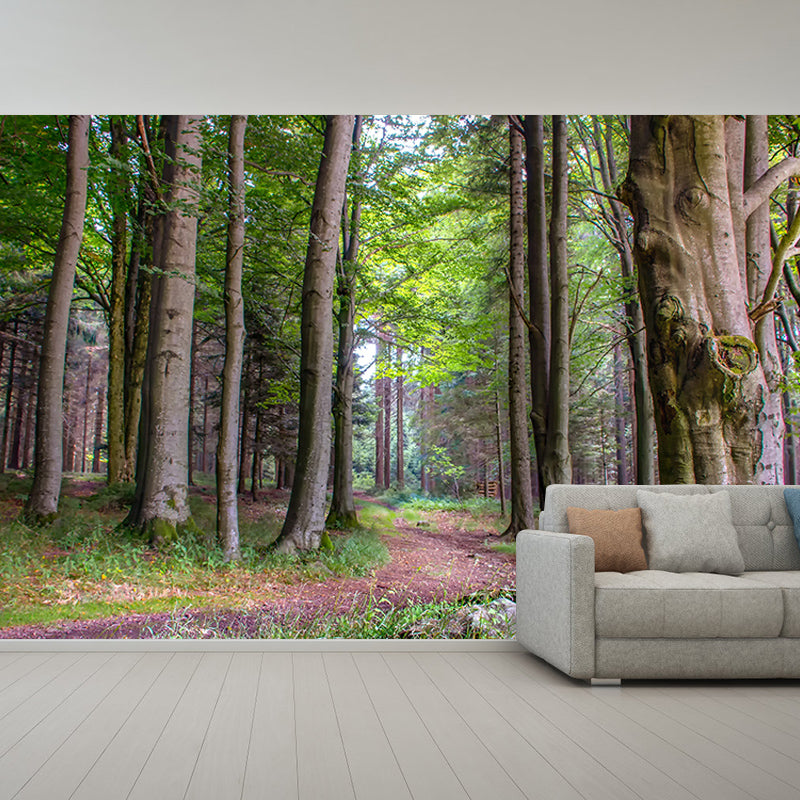 Forest Mural Wallpaper for Sitting Room Moisture Resistant, Personalized Size Available