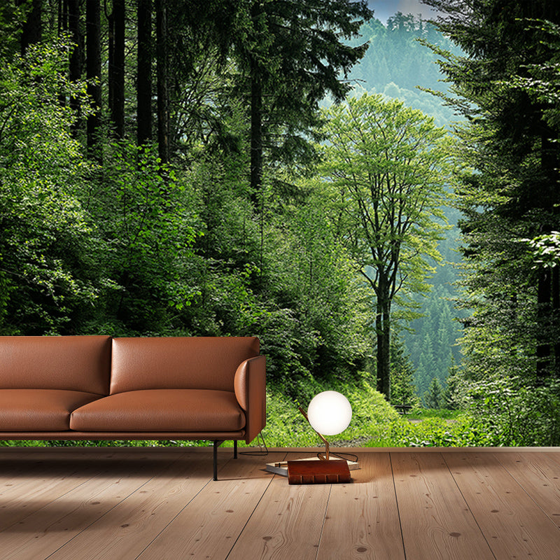 Forest Photo Wall Mural for Living Room Moisture Resistant, Customized Size