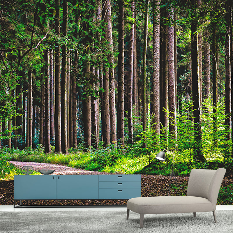 Forest Photo Wall Mural for Living Room Moisture Resistant, Customized Size
