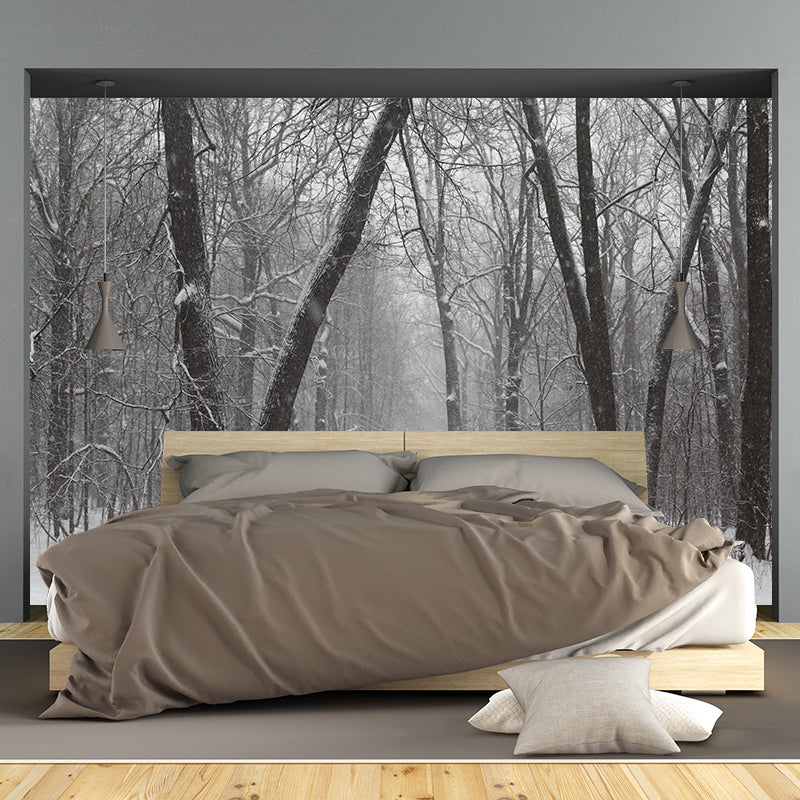 Forest Photo Wall Mural for Living Room Moisture Resistant, Customized Size