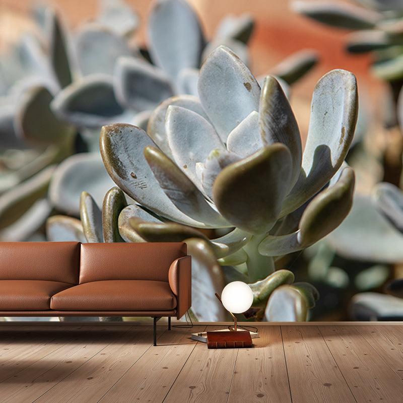 Green Plants Wall Murals Tropics Moisture Resistant Wall Covering for Living Room