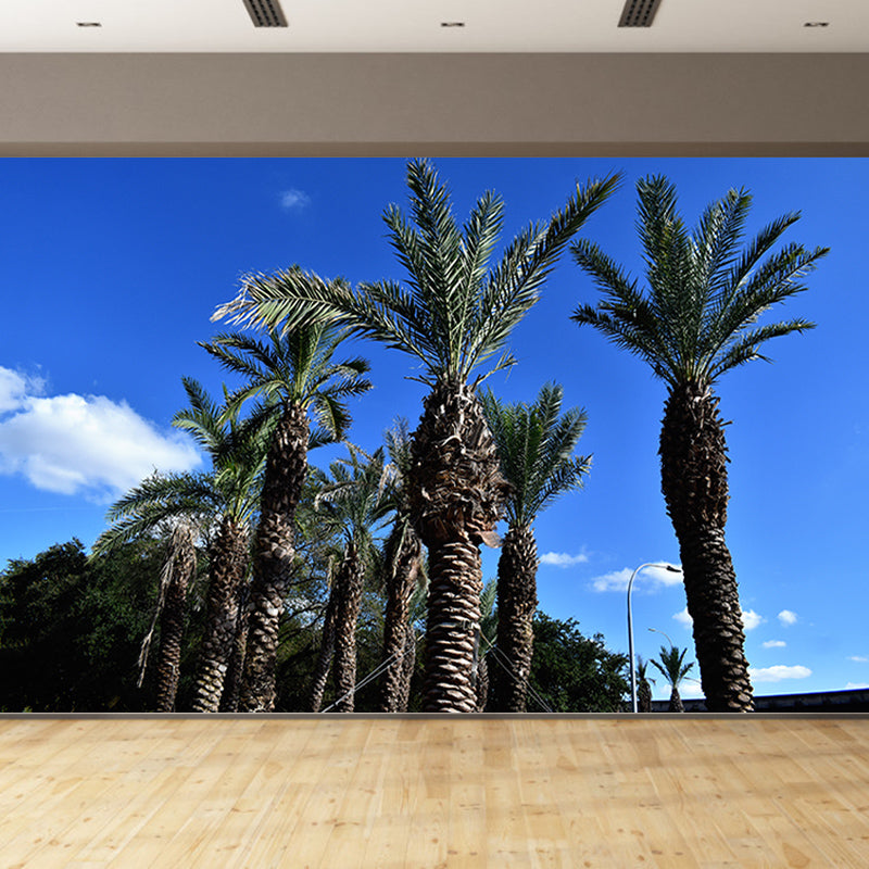 Tropical Palm Tree Wall Paper Murals Decoration for Gust Room, Made to Measure