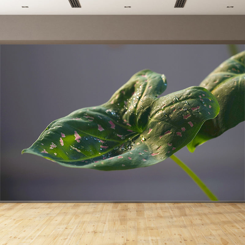 Plants Modern Stain Resistant Wall Decor for Living Room Bedroom, Made to Measure