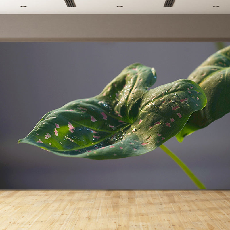 Plants Modern Stain Resistant Wall Decor for Living Room Bedroom, Made to Measure