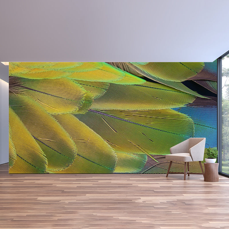 Parrot Feathers Mural Wallpaper for Sitting Room Colorful, Custom Size Available