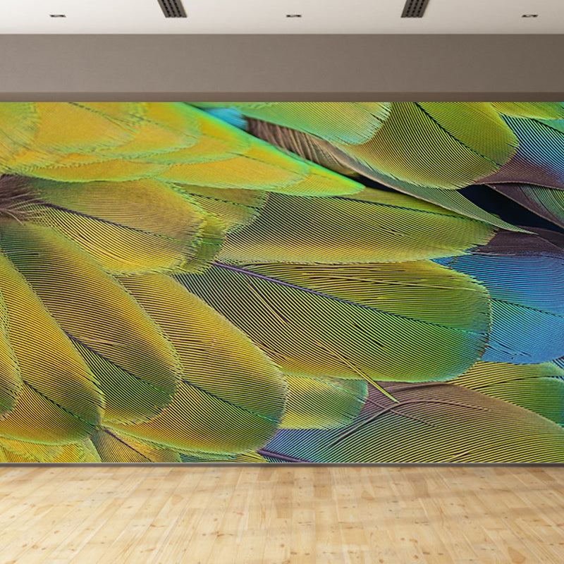 Parrot Feathers Mural Wallpaper for Sitting Room Colorful, Custom Size Available