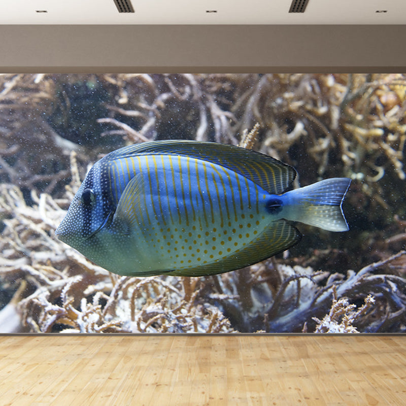 Tropical Seabed Mural Wallpaper for Aquarium Stain Resistant, Made to Measure