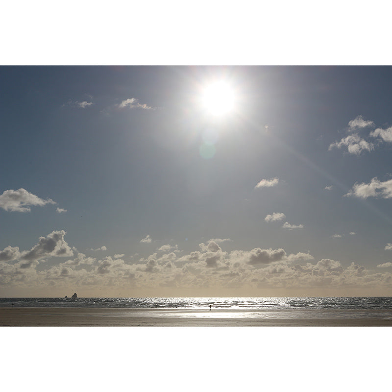 Romantic Beach Mural Wallpaper Stain Resistant Wall Art for Guest Room Decor