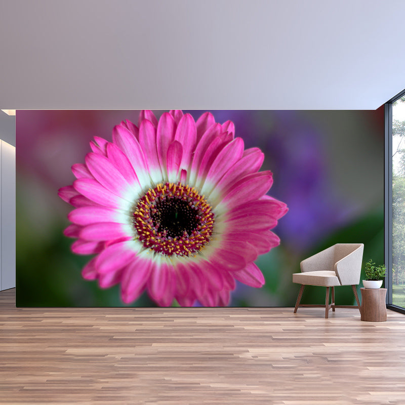 Modern Chrysanthemum Wall Covring for Bedroom Decoration, Moisture Resistant