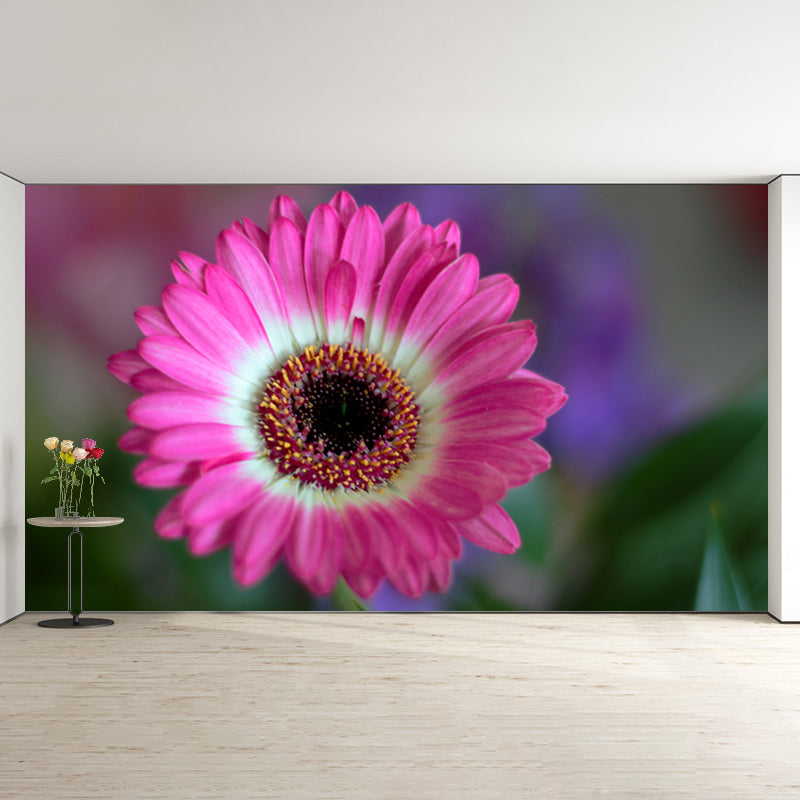 Modern Chrysanthemum Wall Covring for Bedroom Decoration, Moisture Resistant