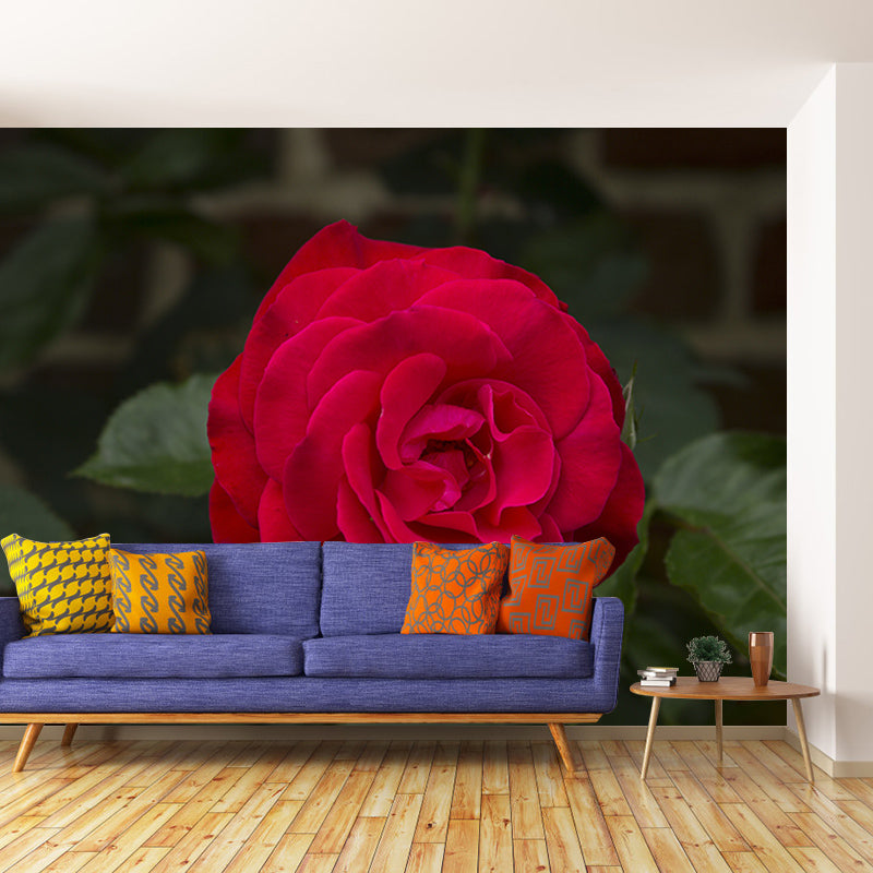 Elegant Rose Mural Wallpaper Washable Wall Covring for Girls' Bedroom Home Decor