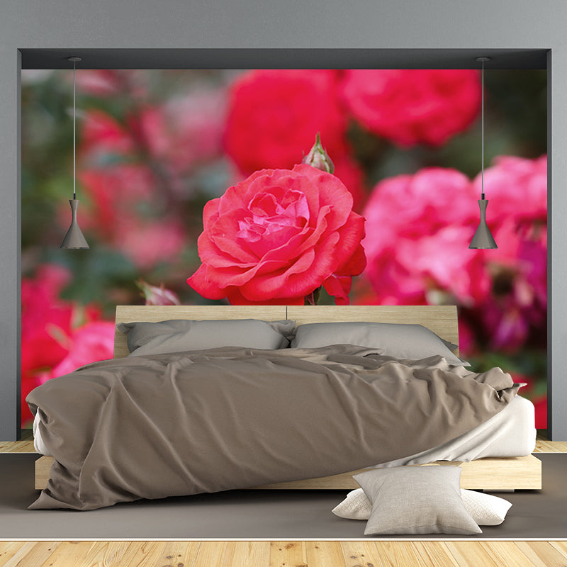 Elegant Rose Mural Wallpaper Washable Wall Covring for Girls' Bedroom Home Decor