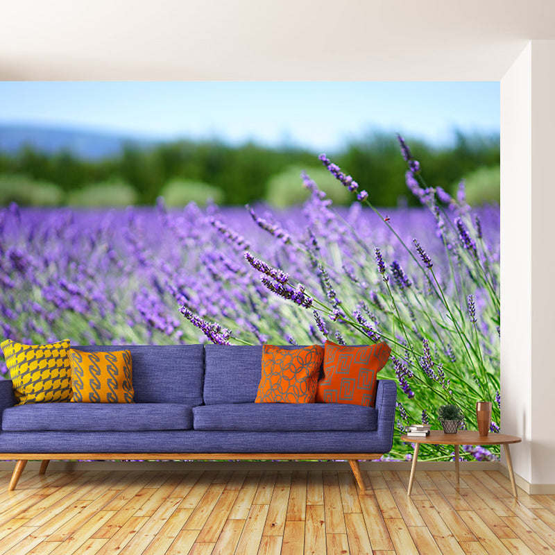 Purple Lavender Wall Mural Decals Home Decoration Sleeping Room Wall Decor