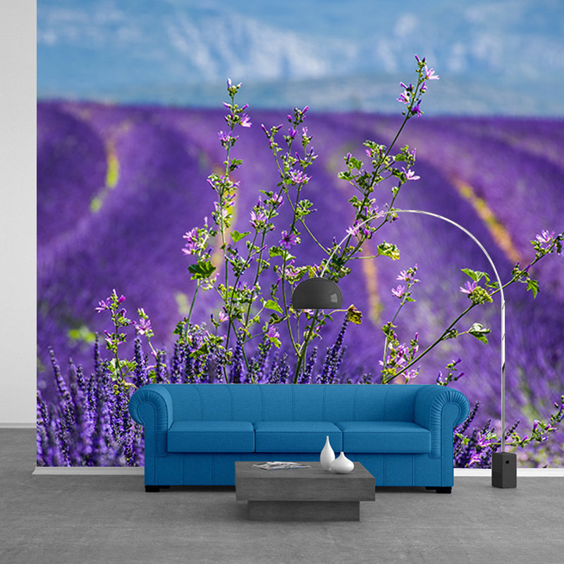 Purple Lavender Wall Mural Decals Home Decoration Sleeping Room Wall Decor