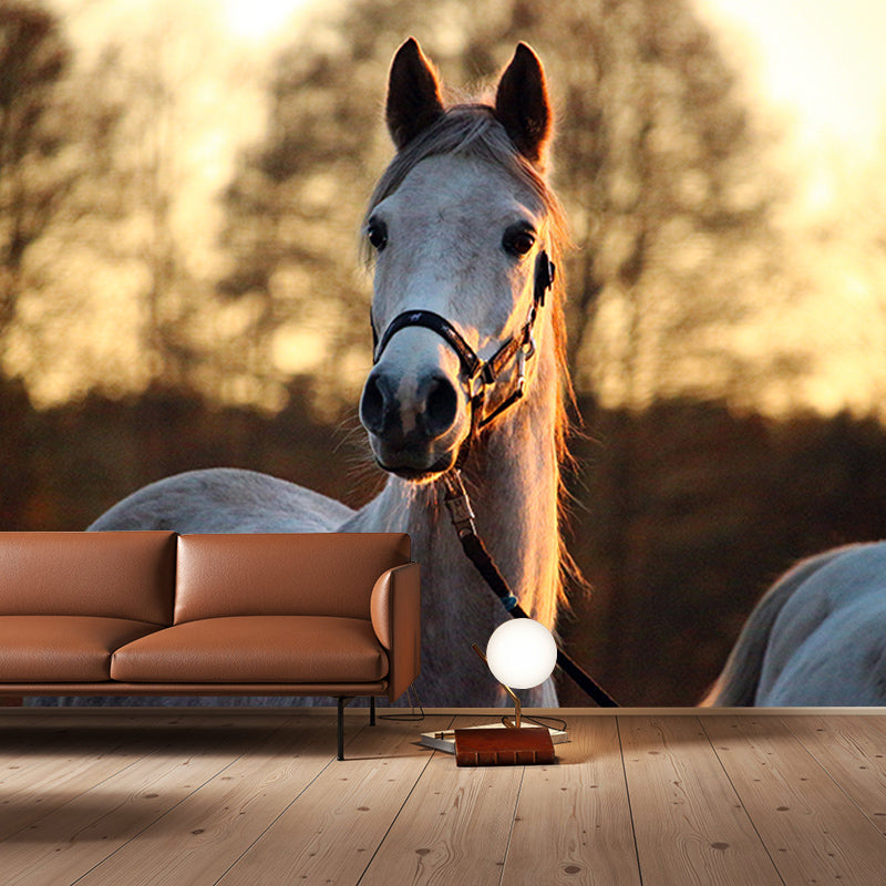 Horse Contemporary Wall Covering for Living Room Moisture Resistant, Made to Measure
