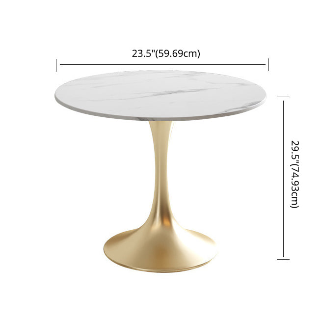 Glam Sintered Stone Dining Room Set with Gold Leg Dining Furniture for Home Use