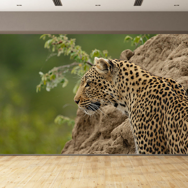 Customized Leopard Mural Stain Resistant Soft Color Wall Art for Bedroom