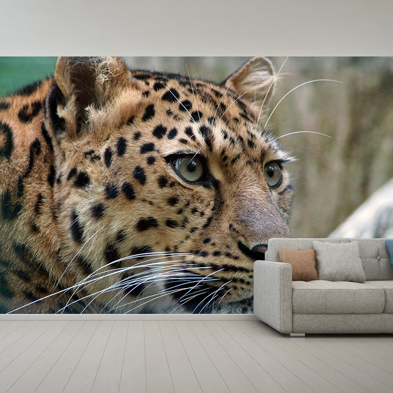 Customized Leopard Portrait  Mural Stain Resistant Wall Art for Bedroom