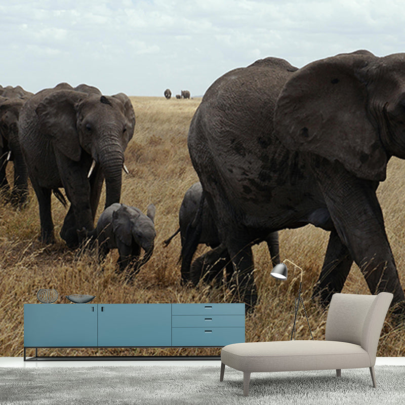 Contemporary Huge Elephant Mural Stain Resistant Wall Art for Living Room
