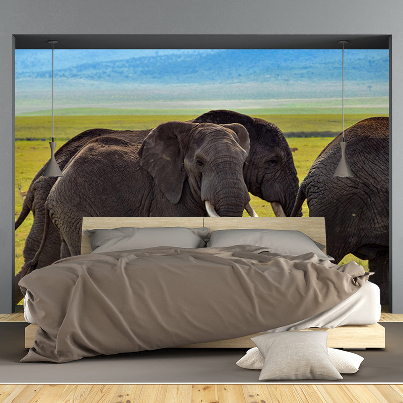 Contemporary Huge Elephant Mural Stain Resistant Wall Art for Living Room