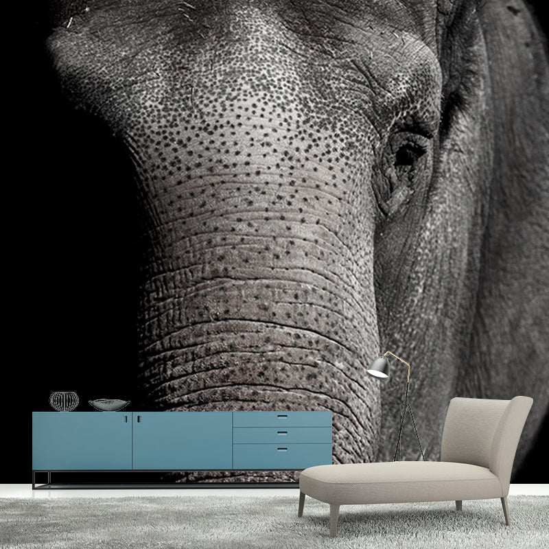 Contemporary Elephant Portrait Mural Stain Resistant Wall Art for Living Room