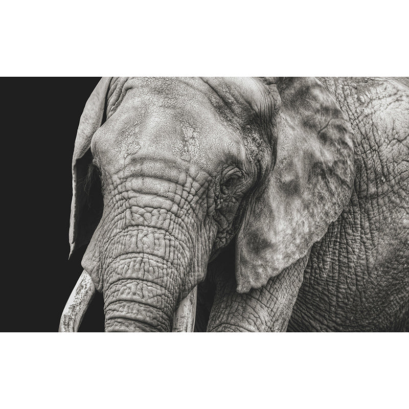 Contemporary Elephant Portrait Mural Stain Resistant Wall Art for Living Room