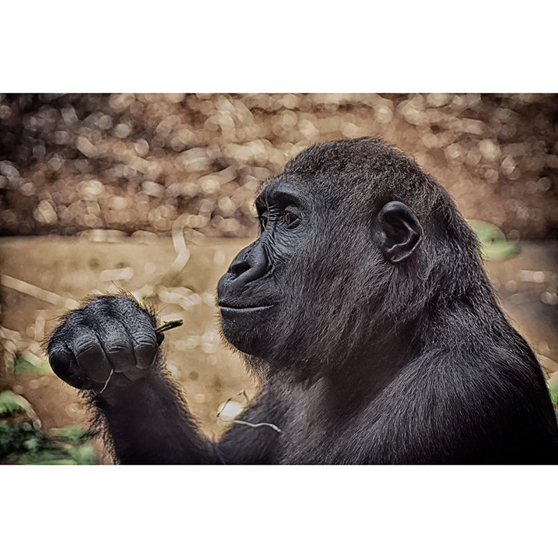 Customized Gorilla Mural Stain Resistant Soft Color Wall Art for Bedroom