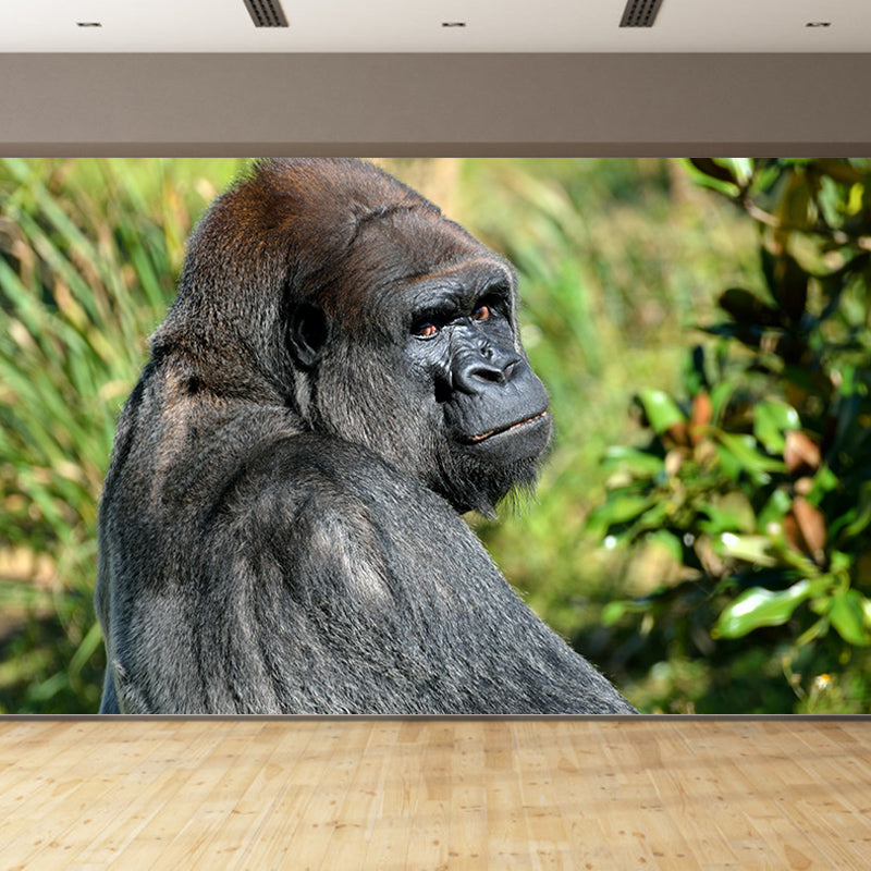 Customized Gorilla Mural Stain Resistant Soft Color Wall Art for Bedroom