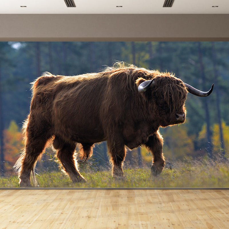 Mighty Bull Mural Wallpaper Photography Horizontal Wall Decor for Home