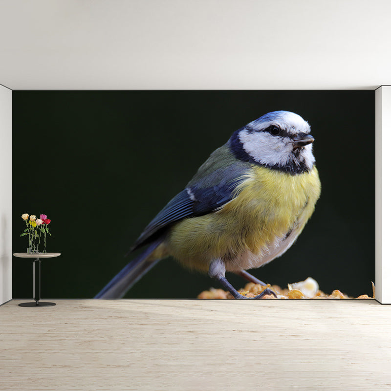 Lovely Blue-Tit Mural Wallpaper Photography Horizontal Wall Decor for Home