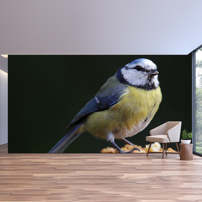 Lovely Blue-Tit Mural Wallpaper Photography Horizontal Wall Decor for Home