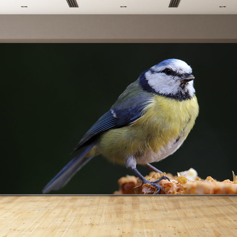 Lovely Blue-Tit Mural Wallpaper Photography Horizontal Wall Decor for Home