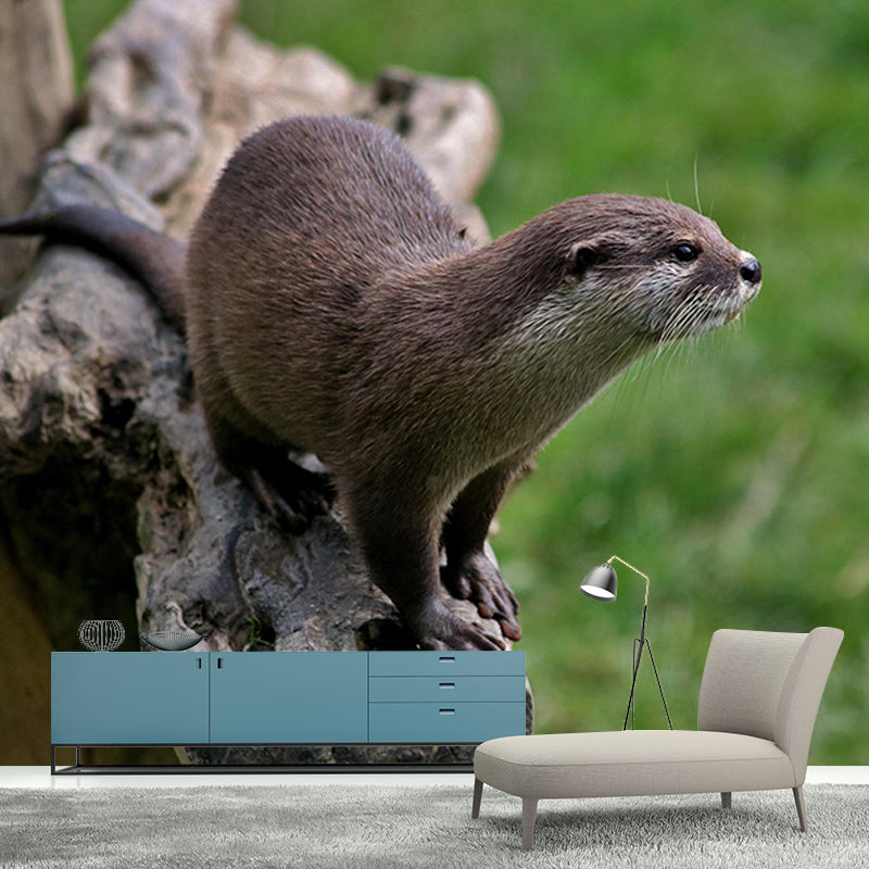 Lovely Otter Mural Wallpaper Photography Horizontal Wall Decor for Home