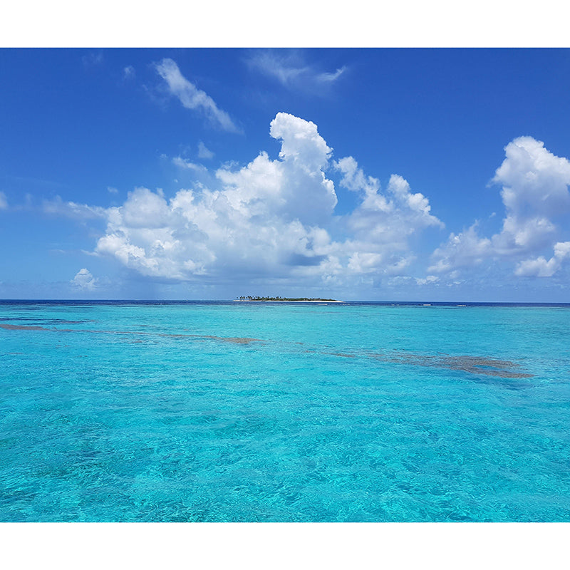 Contemporary Blue Sea Mural Soft Color Stain Resistant Wall Art for Living Room