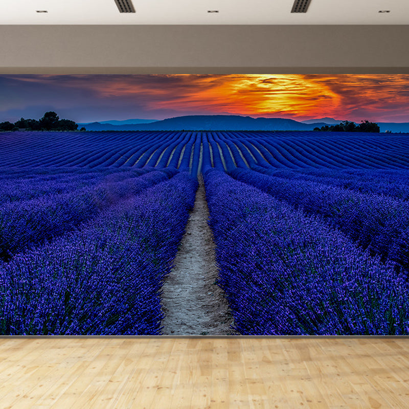 Beautiful Lavender Field Mural Wallpaper Photography Horizontal Wall Decor for Home