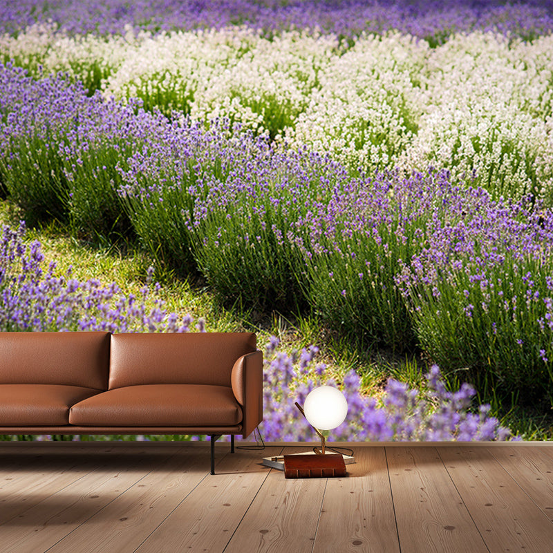 Beautiful Lavender Field Mural Wallpaper Photography Horizontal Wall Decor for Home