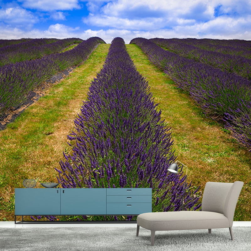 Beautiful Lavender Field Mural Wallpaper Photography Horizontal Wall Decor for Home