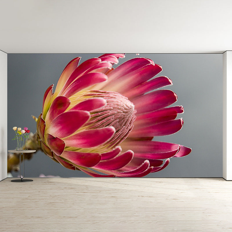 Beautiful Flower Mural Wallpaper Photography Horizontal Wall Decor for Home