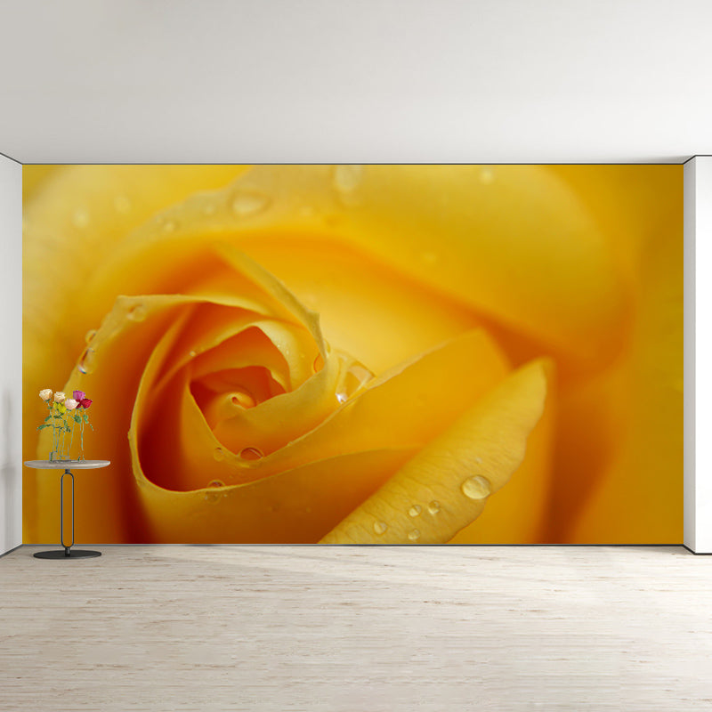 Beautiful Close-up of Rose Mural Wallpaper Photography Horizontal Wall Decor for Home