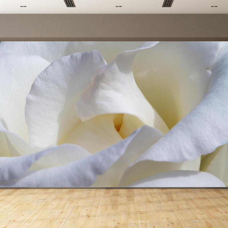 Beautiful Close-up of Rose Mural Wallpaper Photography Horizontal Wall Decor for Home