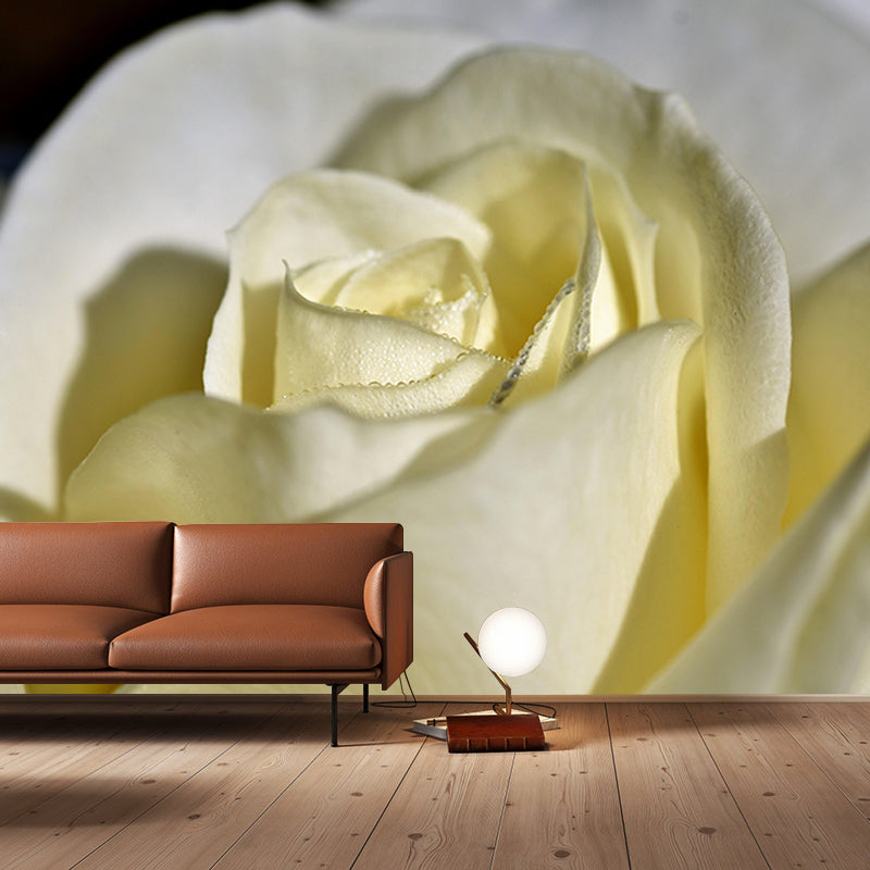 Beautiful Close-up of Rose Mural Wallpaper Photography Horizontal Wall Decor for Home
