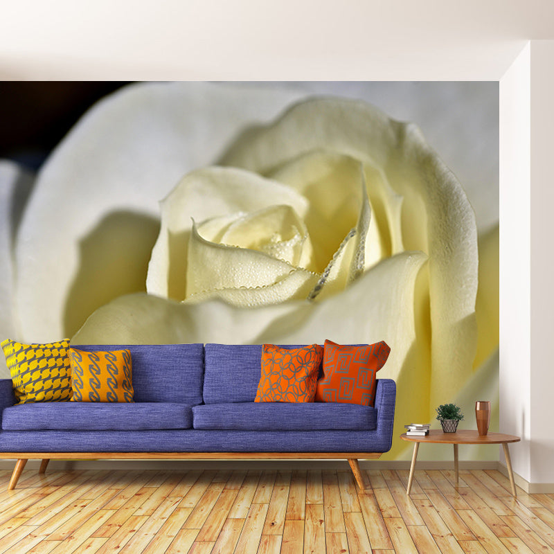 Beautiful Close-up of Rose Mural Wallpaper Photography Horizontal Wall Decor for Home