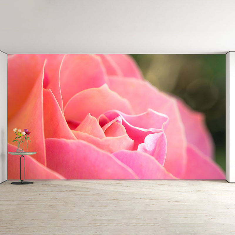 Beautiful Close-up of Rose Mural Wallpaper Photography Horizontal Wall Decor for Home