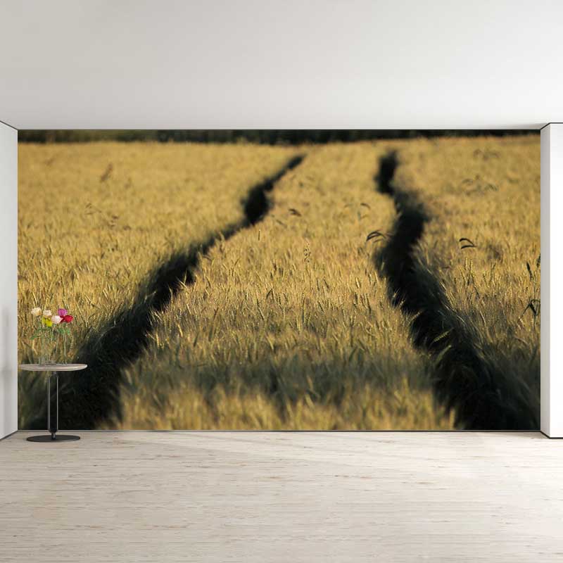 Wheat Field  Mural Wallpaper Photography Horizontal Fabric Wall Decor for Home