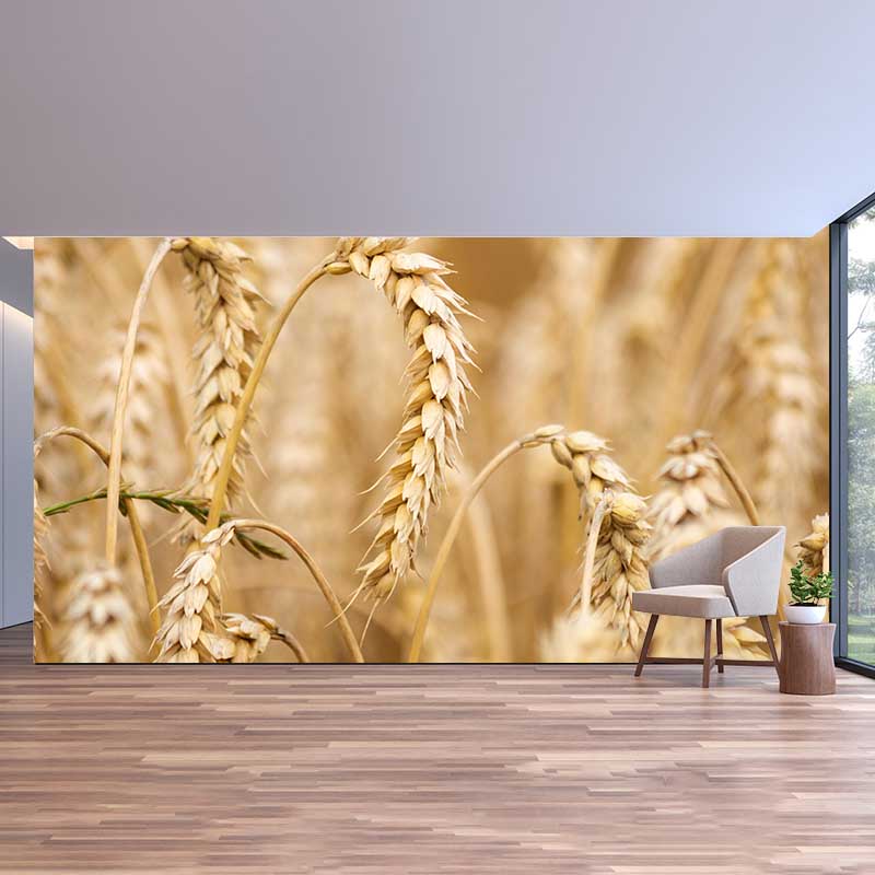 Customized Wheat Field Mural Stain Resistant with Plump Ears of Wheat Pattern for Dining Room