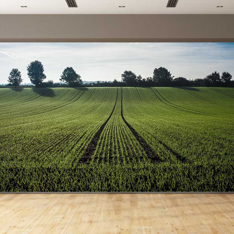 Customized Green Wheat Ears Mural Stain Resistant Wall Art for Dining Room